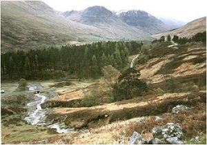 Looking down the glen at Glen Lyon. Picture by Chas Webb